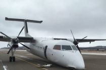 Plane with 51 People Aboard Makes Emergency Landing in Newfoundland