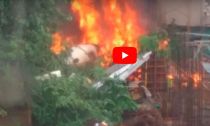 VIDEO: Five Dead After Chartered Plane Crashes in Mumbai