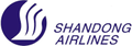 Airways logo