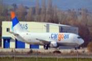 LZ-CGS