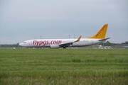 TC-IZG