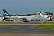 B-LRP